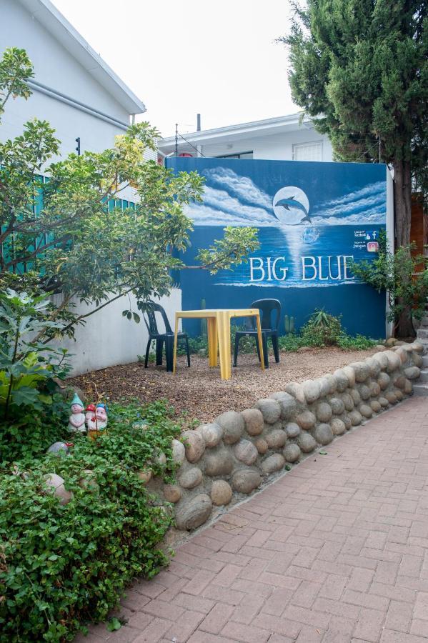Big Blue Backpackers