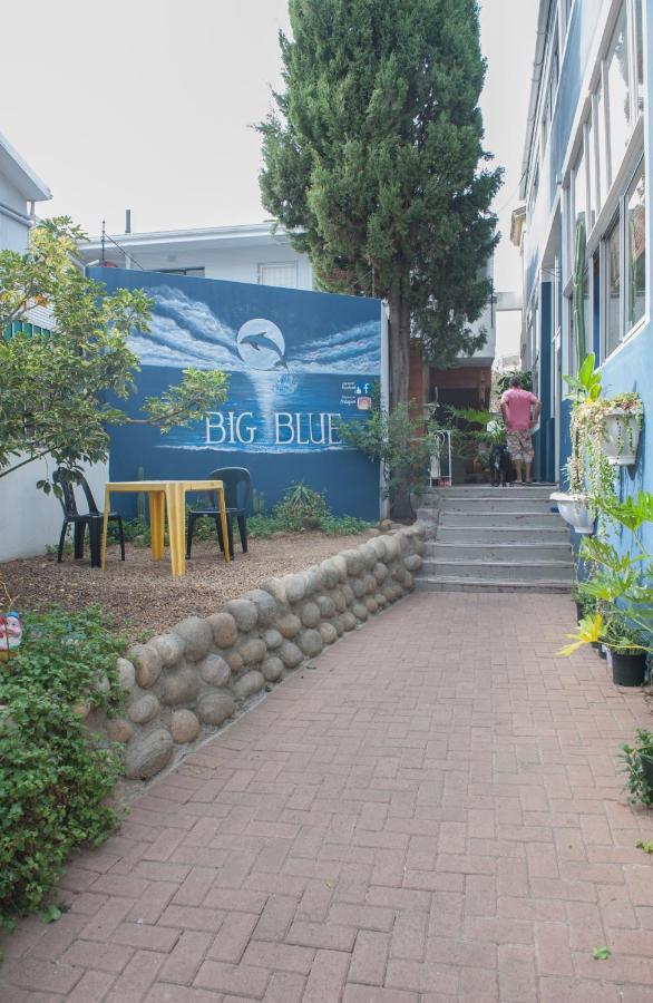 Hostel Big Blue Backpackers
